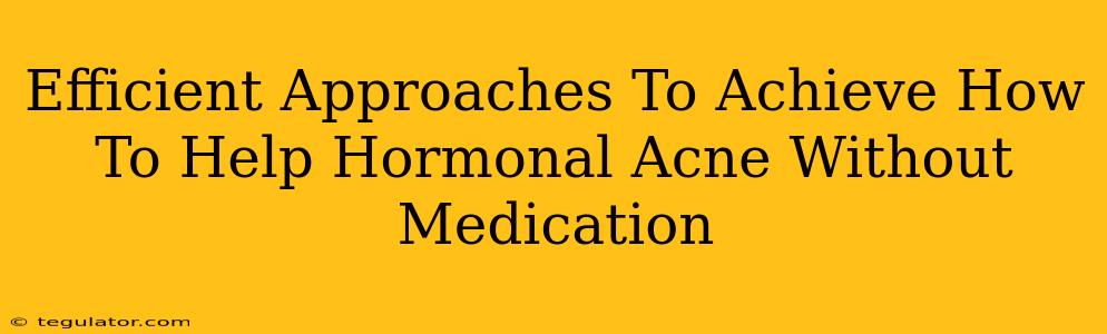 Efficient Approaches To Achieve How To Help Hormonal Acne Without Medication