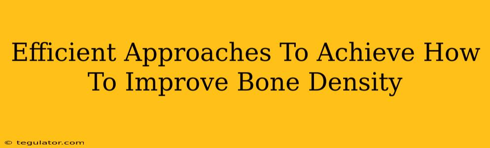 Efficient Approaches To Achieve How To Improve Bone Density