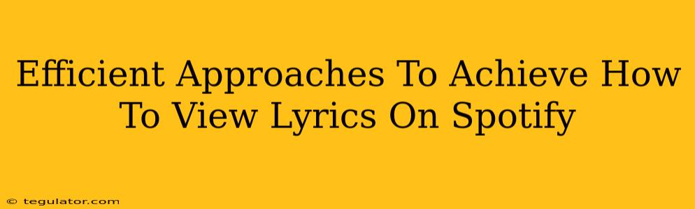 Efficient Approaches To Achieve How To View Lyrics On Spotify