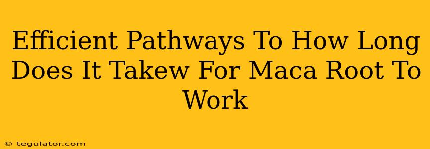 Efficient Pathways To How Long Does It Takew For Maca Root To Work