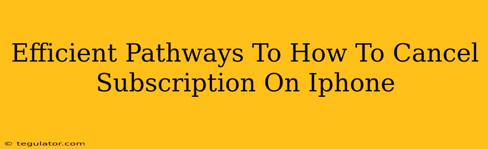 Efficient Pathways To How To Cancel Subscription On Iphone