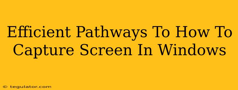 Efficient Pathways To How To Capture Screen In Windows