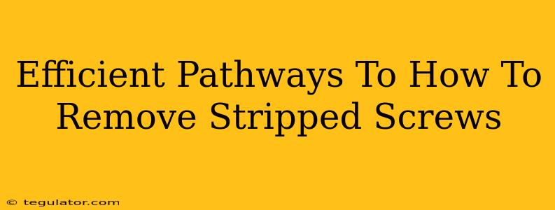 Efficient Pathways To How To Remove Stripped Screws