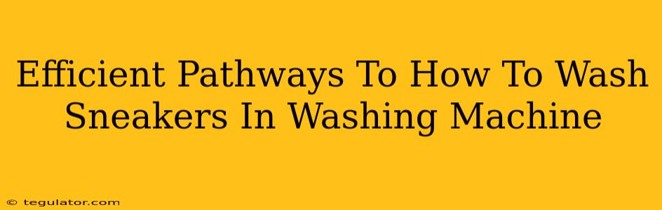 Efficient Pathways To How To Wash Sneakers In Washing Machine