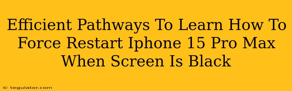 Efficient Pathways To Learn How To Force Restart Iphone 15 Pro Max When Screen Is Black