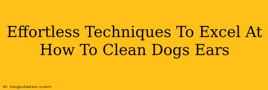 Effortless Techniques To Excel At How To Clean Dogs Ears