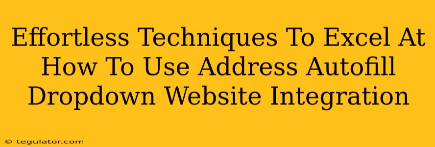 Effortless Techniques To Excel At How To Use Address Autofill Dropdown Website Integration