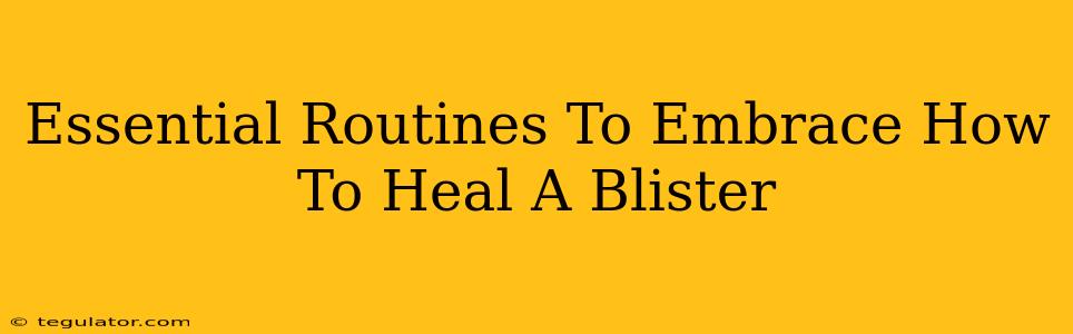 Essential Routines To Embrace How To Heal A Blister