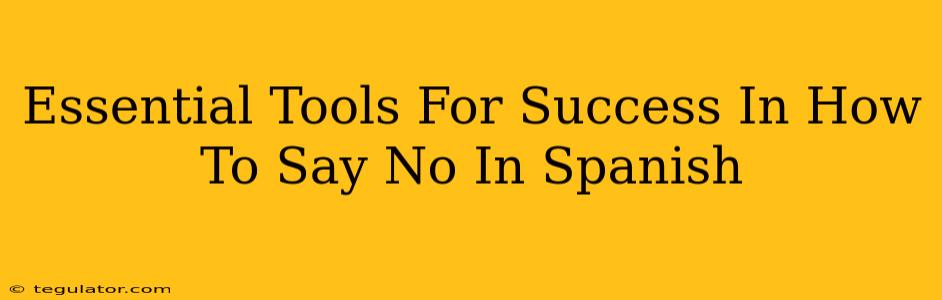 Essential Tools For Success In How To Say No In Spanish