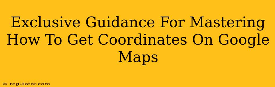 Exclusive Guidance For Mastering How To Get Coordinates On Google Maps