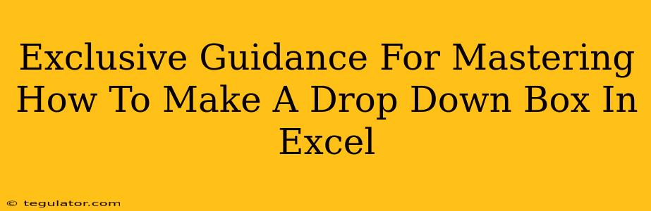 Exclusive Guidance For Mastering How To Make A Drop Down Box In Excel