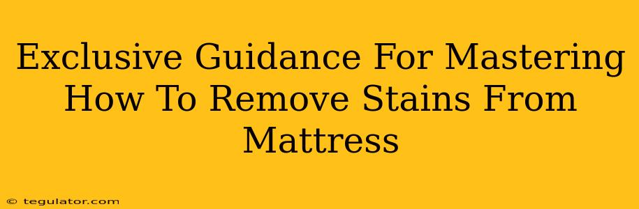 Exclusive Guidance For Mastering How To Remove Stains From Mattress