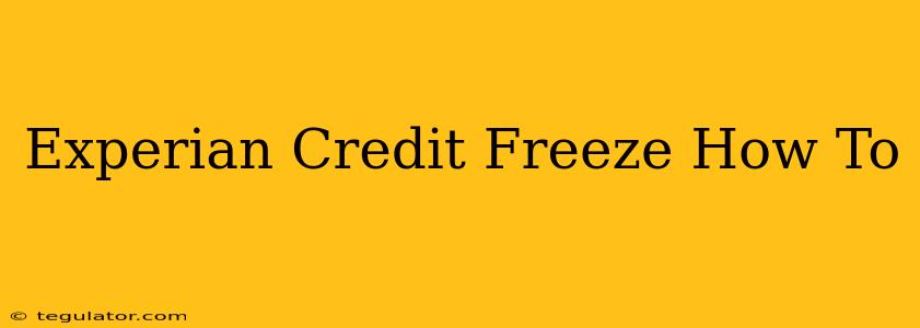 Experian Credit Freeze How To