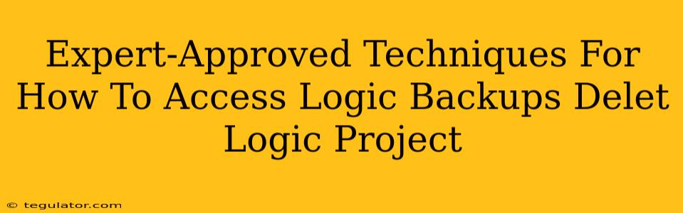 Expert-Approved Techniques For How To Access Logic Backups Delet Logic Project