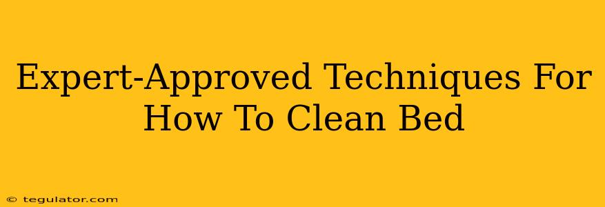 Expert-Approved Techniques For How To Clean Bed