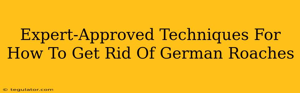 Expert-Approved Techniques For How To Get Rid Of German Roaches