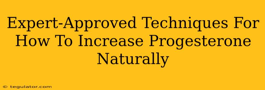 Expert-Approved Techniques For How To Increase Progesterone Naturally