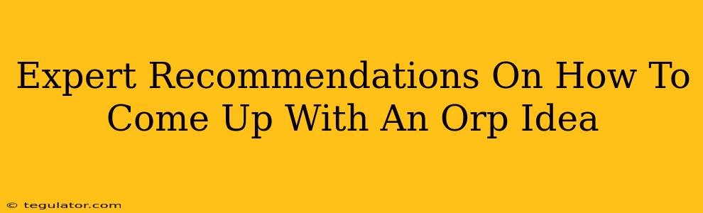 Expert Recommendations On How To Come Up With An Orp Idea