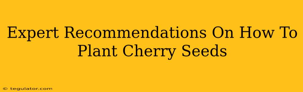 Expert Recommendations On How To Plant Cherry Seeds