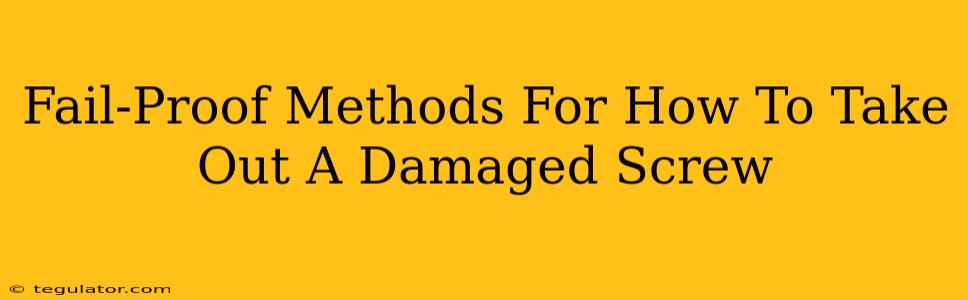 Fail-Proof Methods For How To Take Out A Damaged Screw