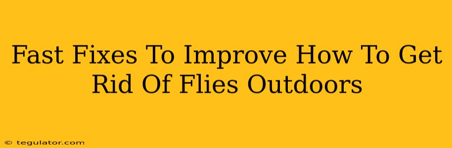 Fast Fixes To Improve How To Get Rid Of Flies Outdoors