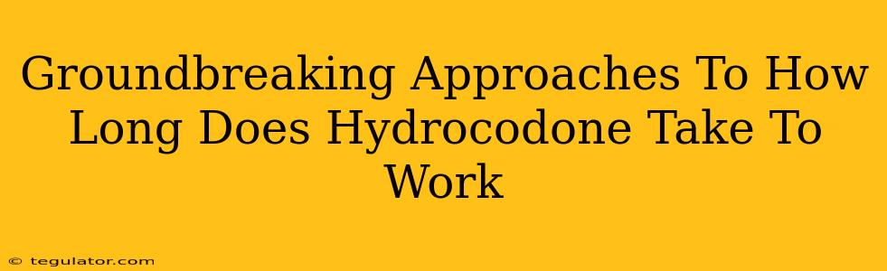 Groundbreaking Approaches To How Long Does Hydrocodone Take To Work