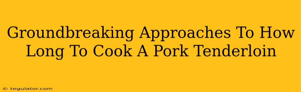 Groundbreaking Approaches To How Long To Cook A Pork Tenderloin