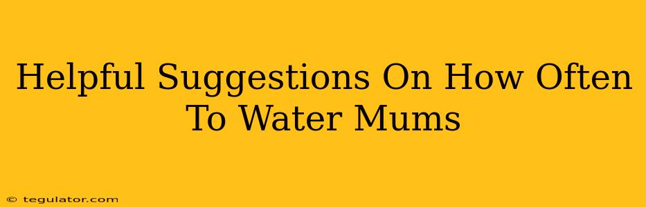 Helpful Suggestions On How Often To Water Mums