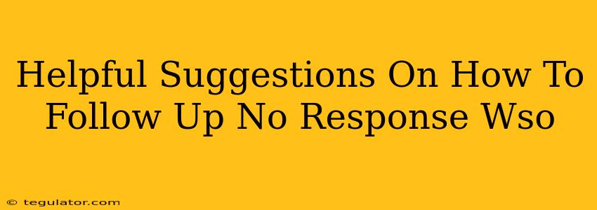 Helpful Suggestions On How To Follow Up No Response Wso