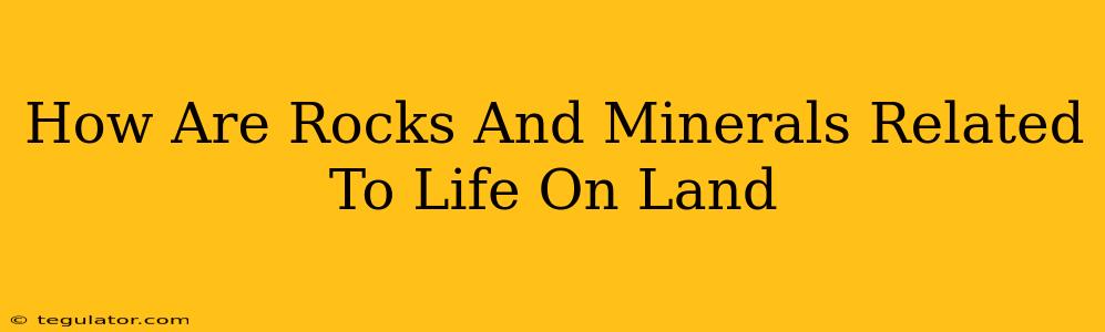 How Are Rocks And Minerals Related To Life On Land