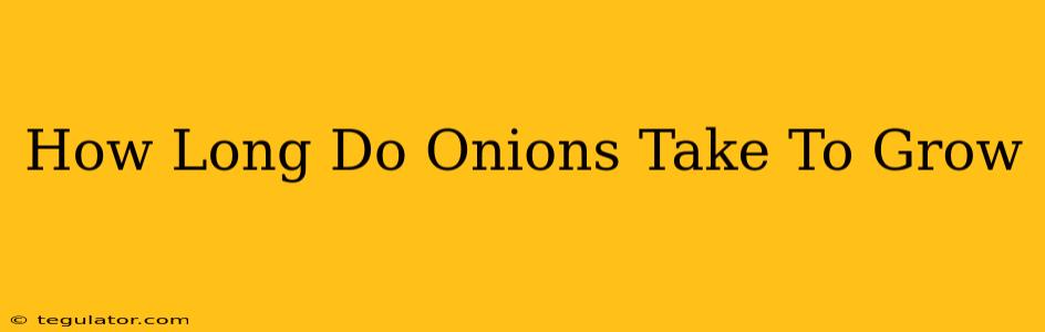 How Long Do Onions Take To Grow