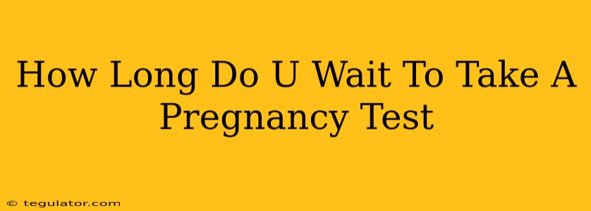 How Long Do U Wait To Take A Pregnancy Test