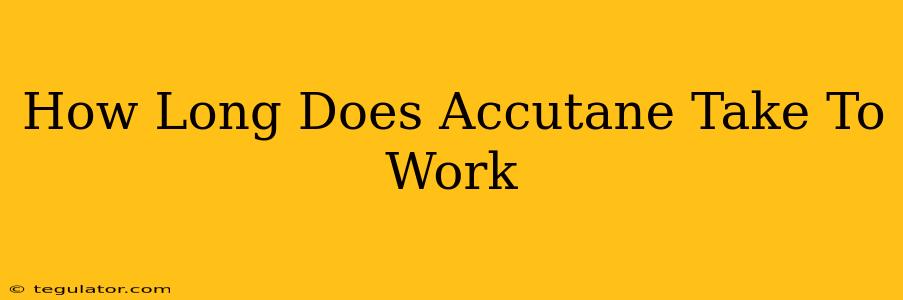 How Long Does Accutane Take To Work