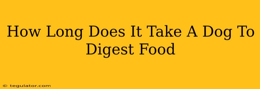 How Long Does It Take A Dog To Digest Food