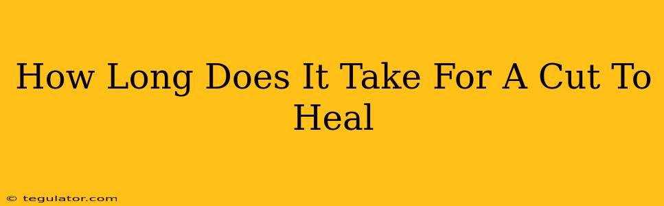 How Long Does It Take For A Cut To Heal