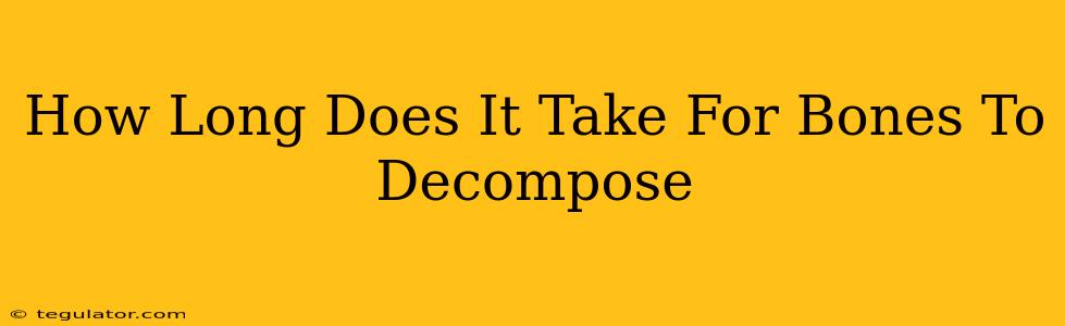 How Long Does It Take For Bones To Decompose