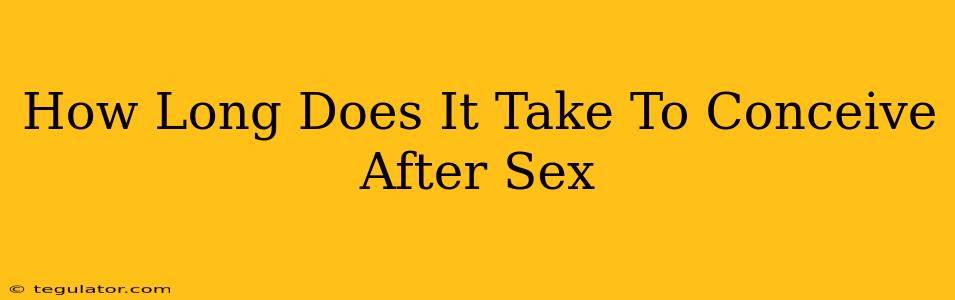 How Long Does It Take To Conceive After Sex