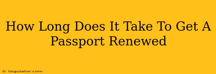 How Long Does It Take To Get A Passport Renewed