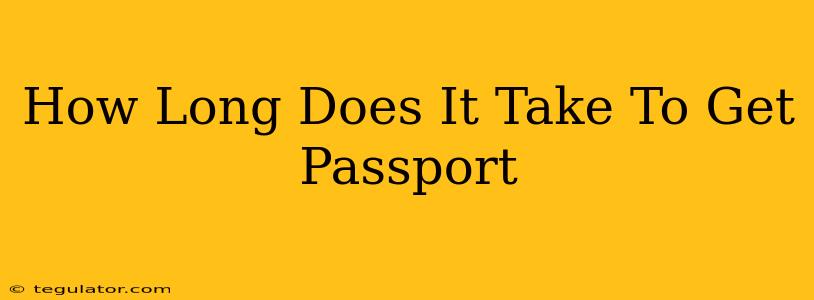 How Long Does It Take To Get Passport