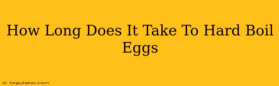 How Long Does It Take To Hard Boil Eggs