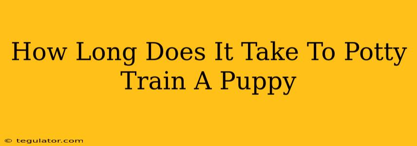 How Long Does It Take To Potty Train A Puppy