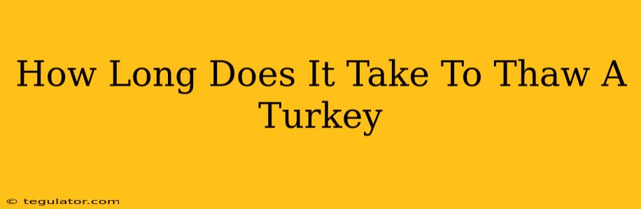 How Long Does It Take To Thaw A Turkey