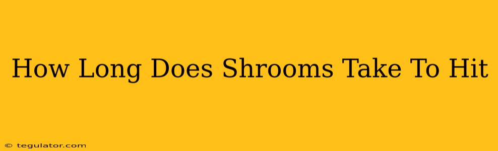 How Long Does Shrooms Take To Hit