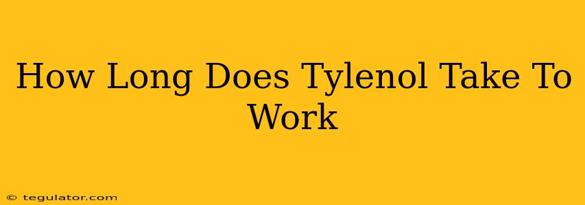 How Long Does Tylenol Take To Work