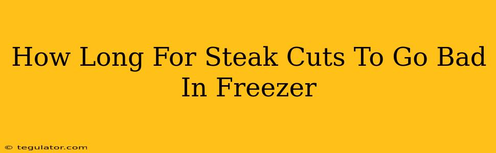 How Long For Steak Cuts To Go Bad In Freezer