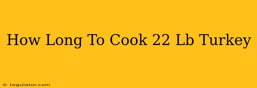 How Long To Cook 22 Lb Turkey