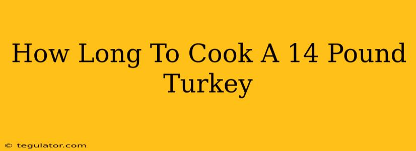 How Long To Cook A 14 Pound Turkey