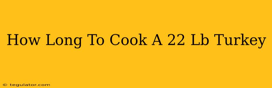 How Long To Cook A 22 Lb Turkey