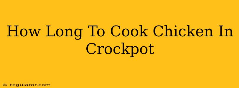 How Long To Cook Chicken In Crockpot