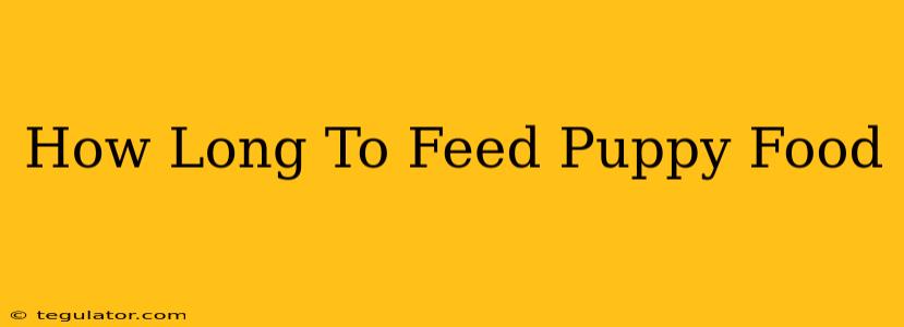 How Long To Feed Puppy Food